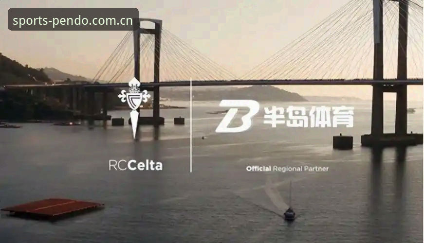 如何高效使用半岛体育官网？一份完整的使用教程与深度评测